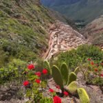 Full Spiritual Day with Wayra — Limpia, Coca Reading & Pago a la Tierra