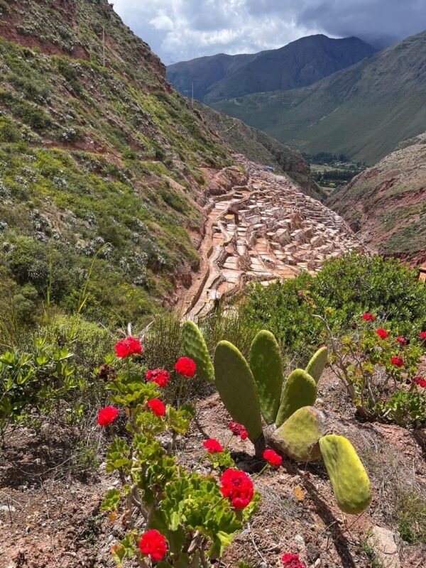 WhatsApp Image 2026-05-22 at 9.32.12 PM (1) Maras, Moray & Salt Mines Tour – Full Day