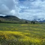 Full Spiritual Day with Wayra — Limpia, Coca Reading & Pago a la Tierra